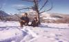 Montana Old West Outfitters