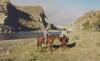 Montana Old West Outfitters