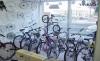 Pedal Power Sports