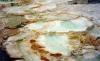 Yellowstone Vacations