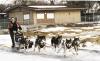 Montana Mush - Dog Sled Tours
