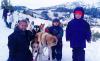 Spirit of the North Sled Dog Adventures