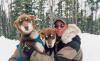 Spirit of the North Sled Dog Adventures