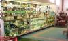 Bull Market Antiques and Collectibles