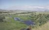Rose Ranch