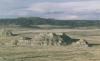 Rose Ranch
