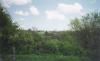 Rose Ranch