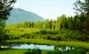 Montana Treasures & Retreat