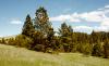 Springhill