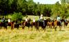 Cheyenne Trail Riders