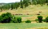 Cheyenne Trailriders