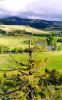CWC Ranch Houses on Boulder River