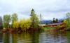 Coyote Riverhouse Cabins