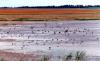 War Horse National Wildlife Refuge