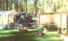 Meadow Lake View Bed & Breakfast