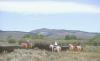 Horse Prairie Ranch