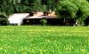 Alta Meadow Ranch