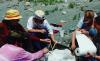 Timescale Adventures