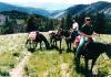 Why Lazy Tee Ranch