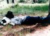 Why Lazy Tee Ranch