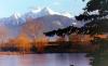 Willow Creek Campground