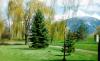 Willow Creek Campground