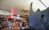 The Rhinoceros