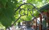 Great Northern Bar & Grill