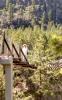 Kootenai Falls Swinging Bridge