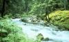 Bull River Valley Scenic Drive
