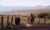 Bonanza Creek Country Guest Ranch