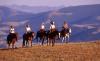 Bonanza Creek Country Guest Ranch