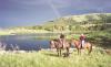 Bar 88 Horses - Wolfpack Outfitters