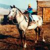 ZW Ranch