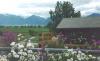 Heavenly View Hideaway/Vacation Rental Chalet