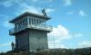 Webb Mountain Lookout