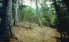 Alexander Mountain Trail