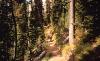 Rainbow Lake Trail
