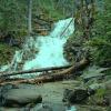Petty Ford Creek Trail