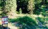 Snowbank Trail