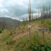Casey Meadows Trail