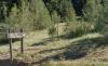 Cayuse Trail