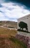 Madison Buffalo Jump