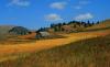 Bearpaw Lake