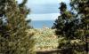 Wild Horse Island - Flathead Lake State Park