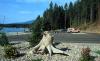 Finley Point - Flathead Lake State Park