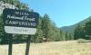 Coulter Campground