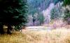 Big Beaver Campground
