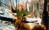 Beaver Creek Outfitters