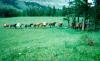 Beaver Creek Outfitters